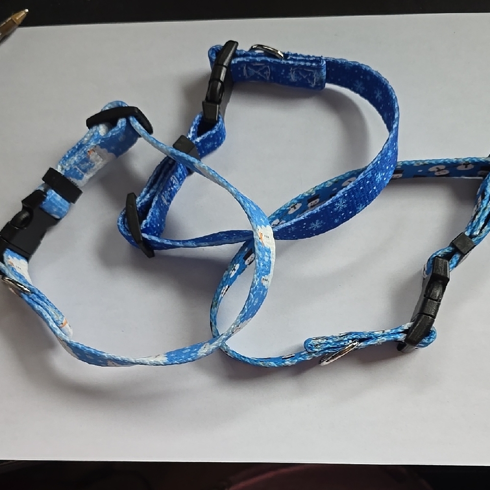 Blue Dog Collar with Paw Prints